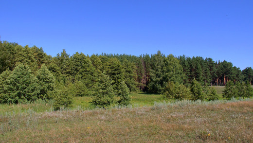 744141 (a): :2200x1240